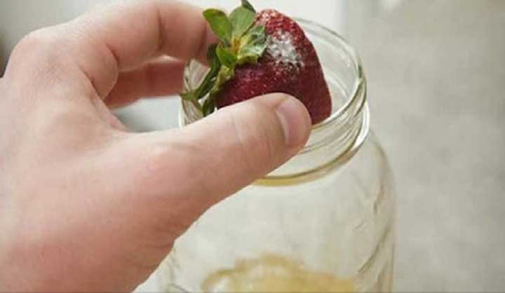 4 pièges faits maison pour se débarrasser des mouches