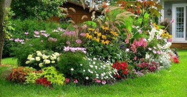 5 Engrais Naturels et Gratuits Pour des Plantes en Super Forme.