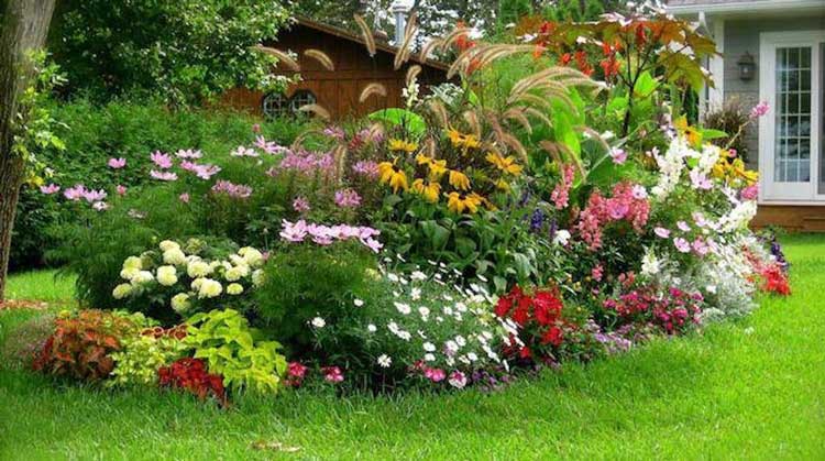 5 Engrais Naturels et Gratuits Pour des Plantes en Super Forme.