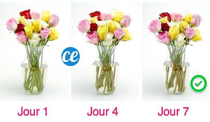 Comment Faire Durer Un Bouquet Plus Longtemps ? L