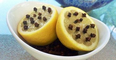 Dites adieu aux moustiques grâce à cette fabuleuse astuce au citron