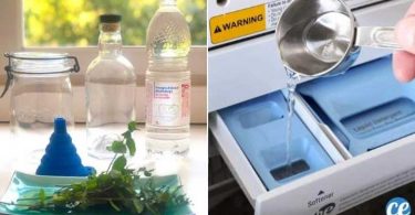 L’Adoucissant Maison Pour des Vêtements Tout Doux à l’Odeur Fraîche de Menthe