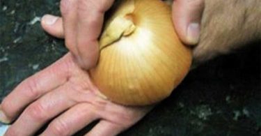l’oignon est un médicament naturel 8 manières surprenantes de l’utiliser